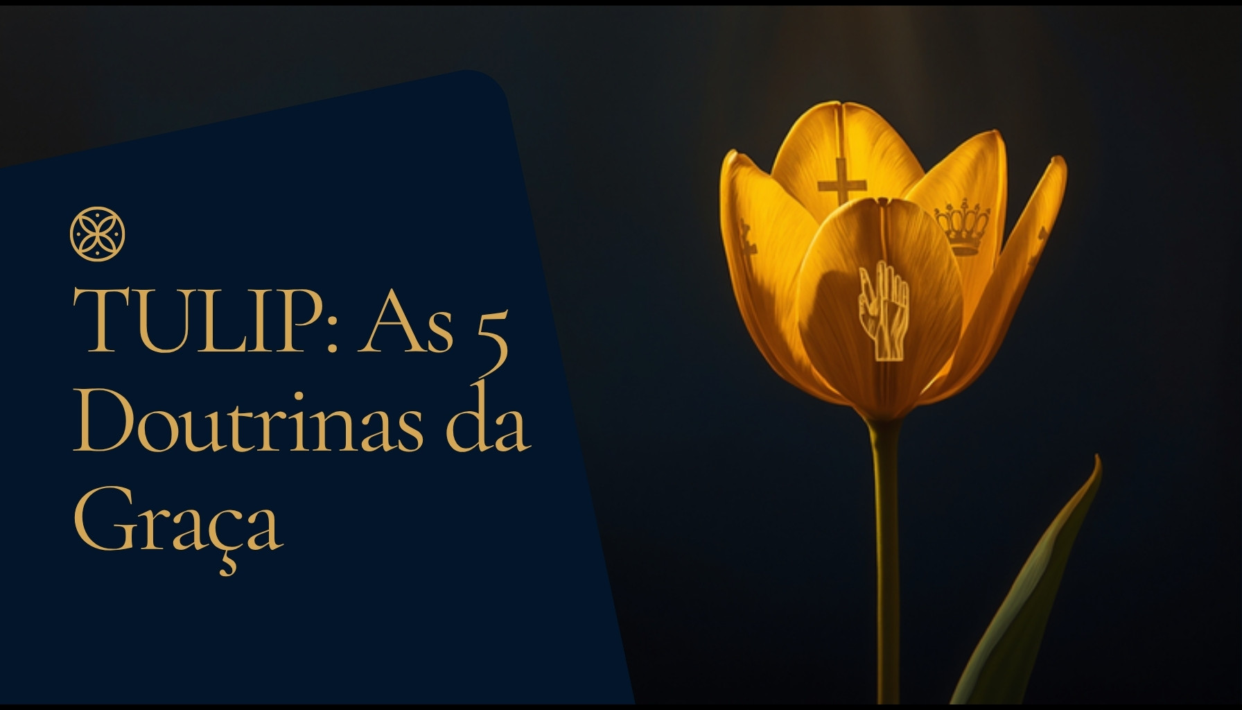 Capa: TULIP: As 5 Doutrinas da Graça
